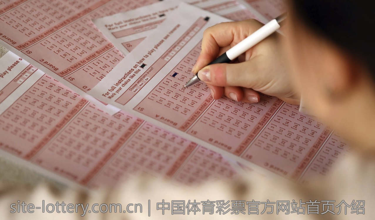 大乐透中奖号码获取的有效途径