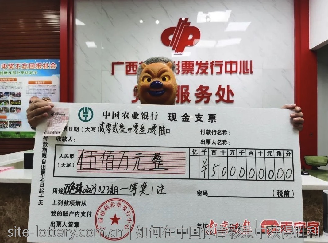 中国体育彩票的投注技巧与策略分析